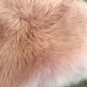 Pottery Barn Teen Supersoft Shearling Rug 2'x3' Blush NEW 3 Available